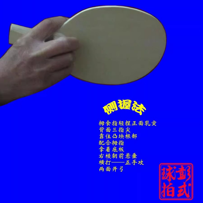 Chinese/Japanse Stijl Tafelten - Table Tennis In Japanese recensie en prijs