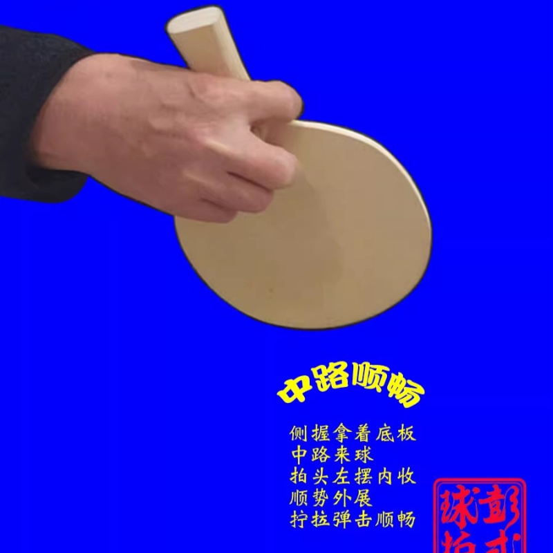 Chinese/Japanse Stijl Tafelten - Table Tennis In Japanese recensie en prijs